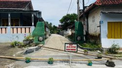 IMG-20250708-WA0242