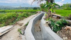 IMG-20250913-WA0179