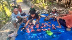 IMG-20260601-WA0004