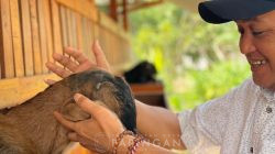 IMG-20260818-WA0184