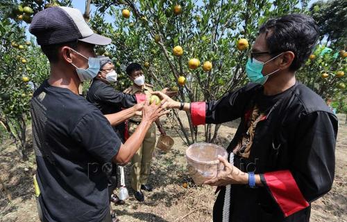 Penilaian-Lapang-Lomba-Tingkat-Provinsi-Desa-Paringan-Suguhkan-Semua-Inovasi-dan-Potensi-4